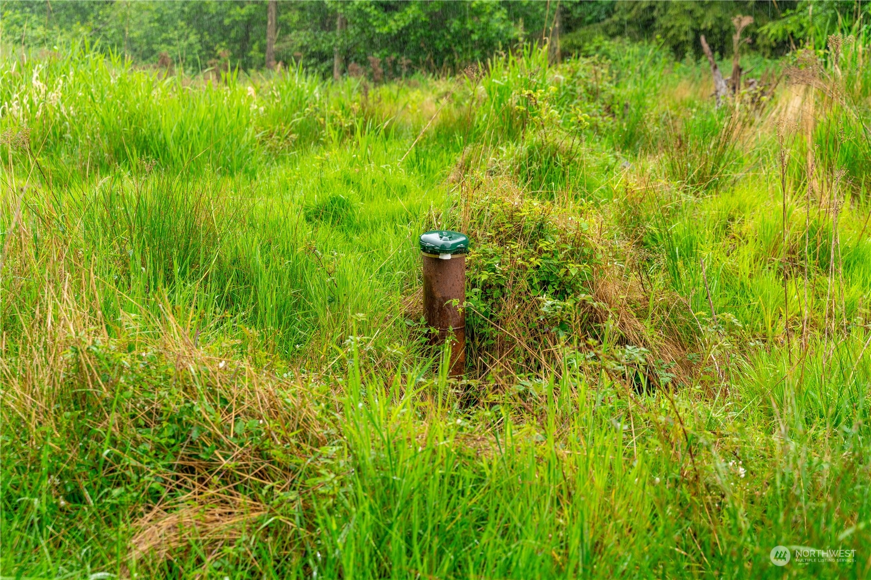 28754 State Route 525 Property Photo 12