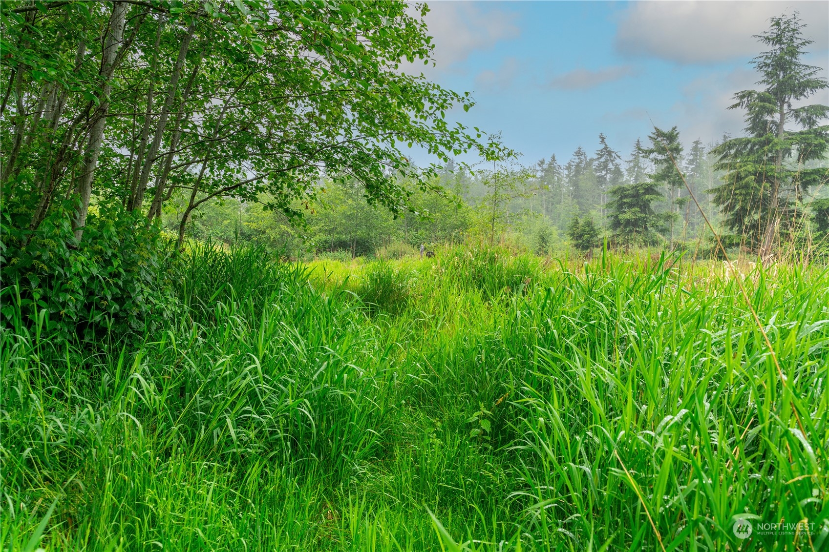 28754 State Route 525 Property Photo 13