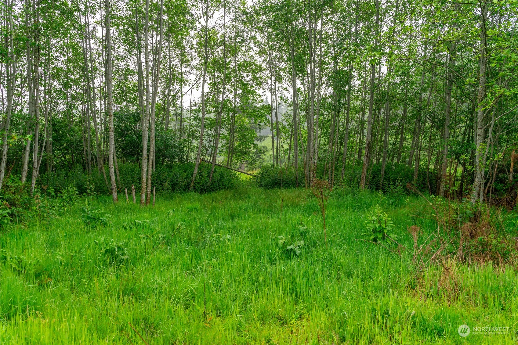 28754 State Route 525 Property Photo 14