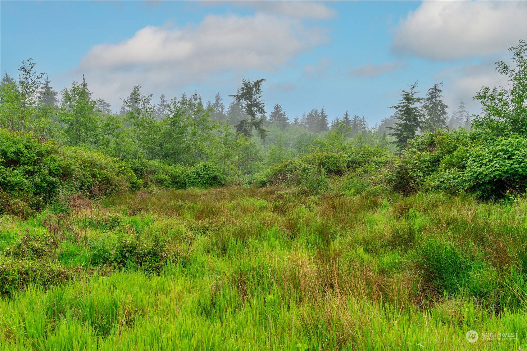 28754 State Route 525 Property Photo 15