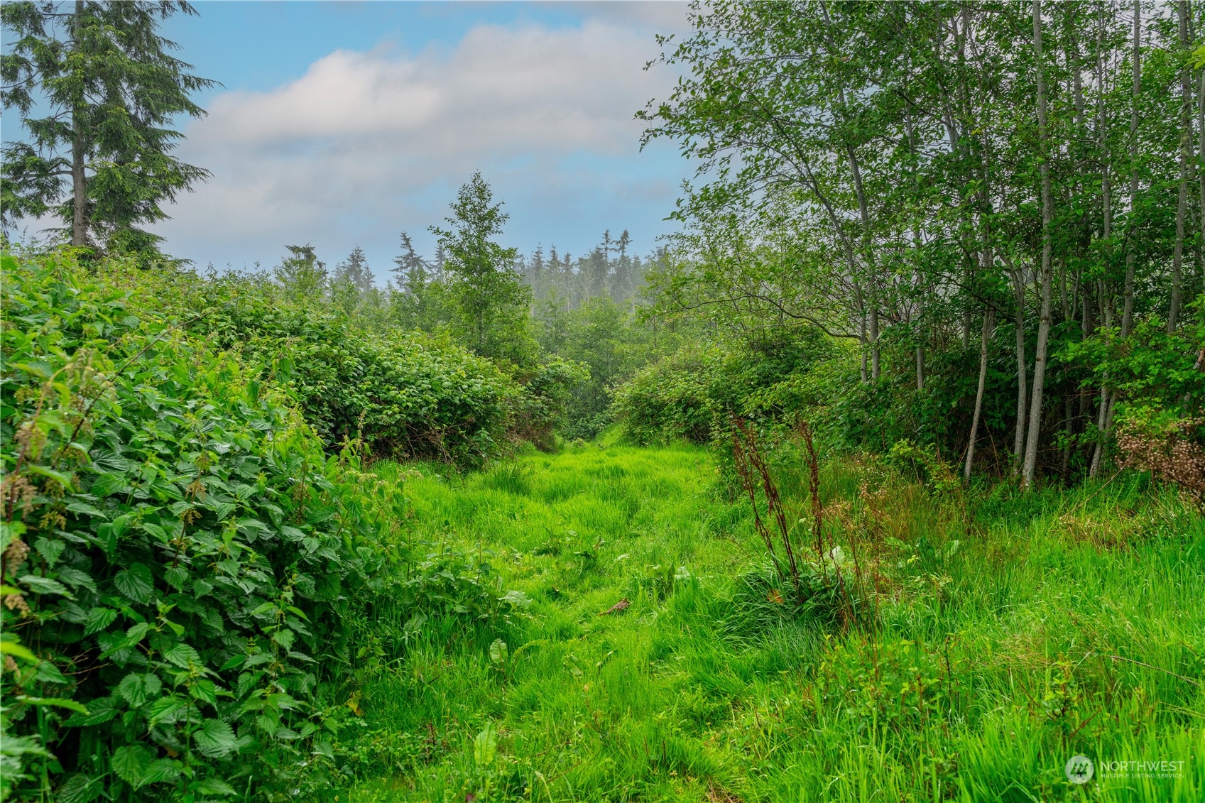 28754 State Route 525 Property Photo 16