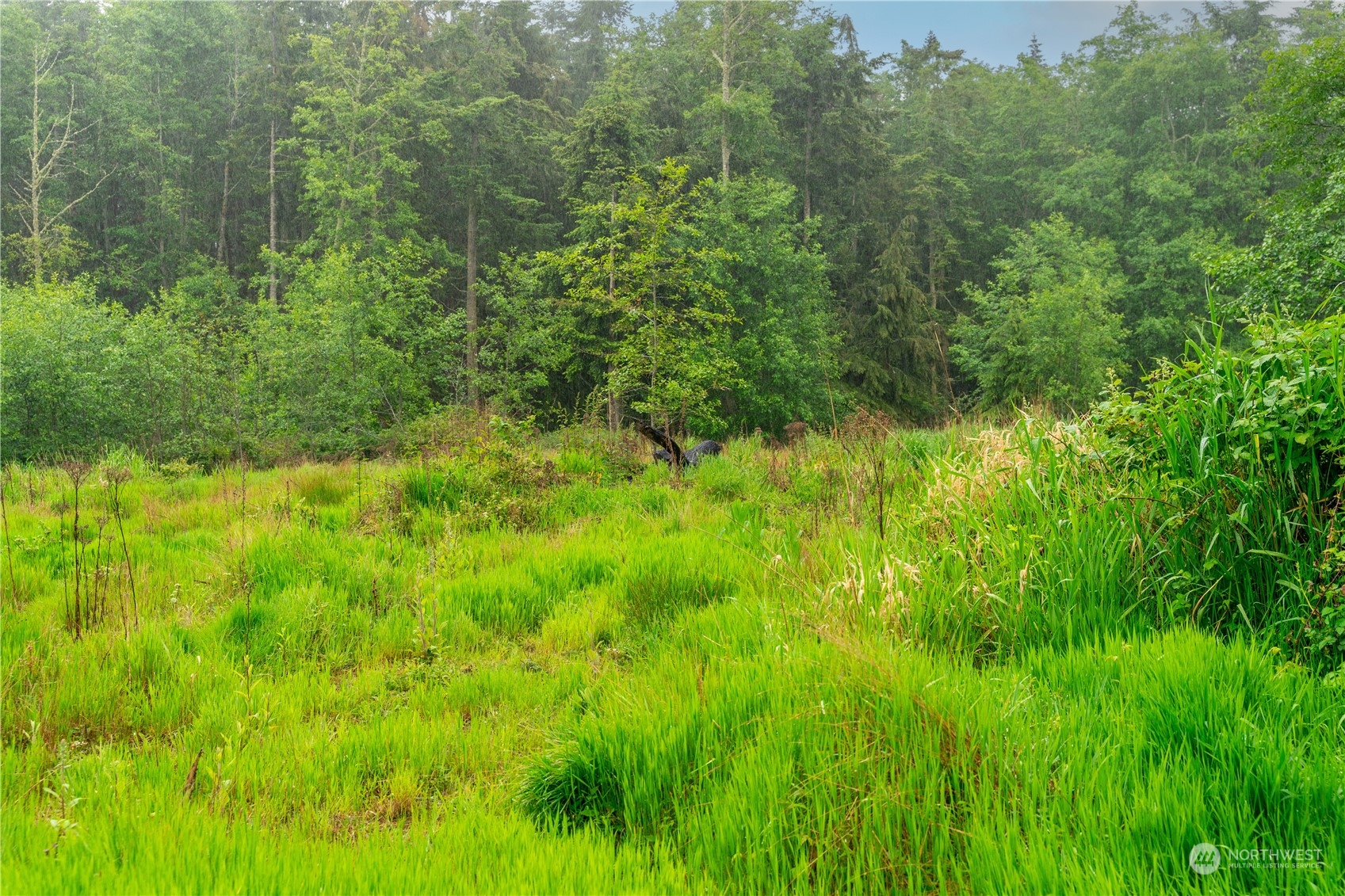 28754 State Route 525 Property Photo 18