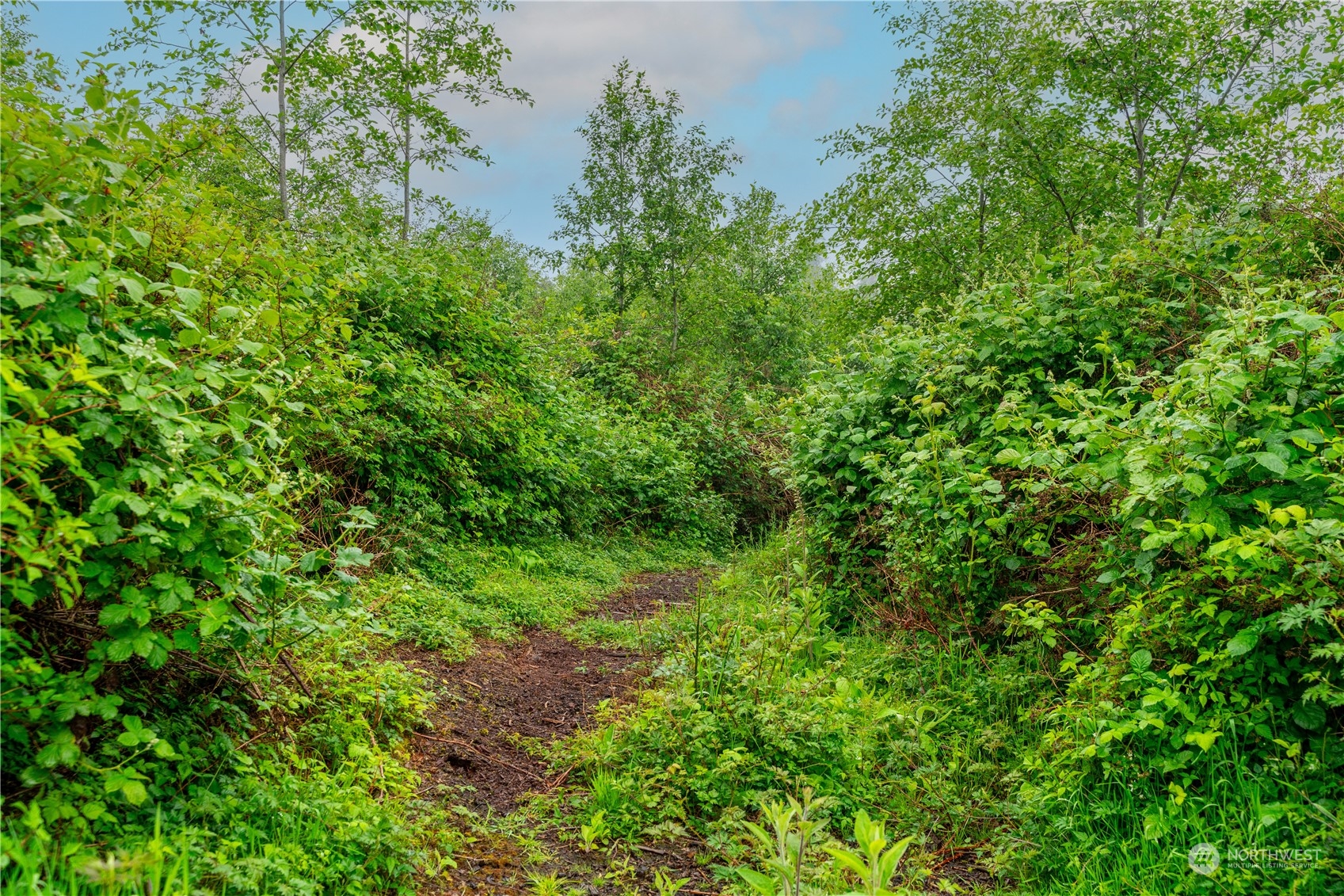28754 State Route 525 Property Photo 20