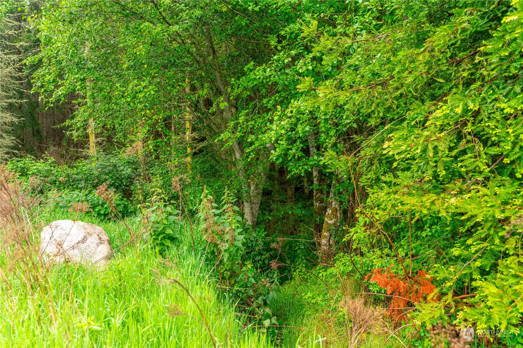 28754 State Route 525 Property Photo 22
