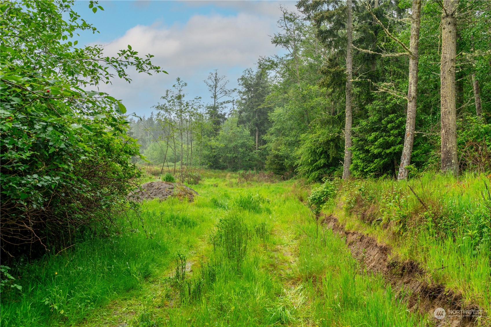 28754 State Route 525 Property Photo 23