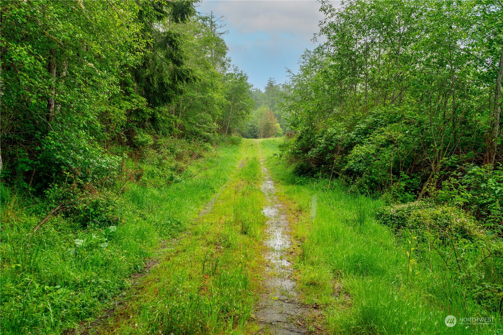 28754 State Route 525 Property Photo 24