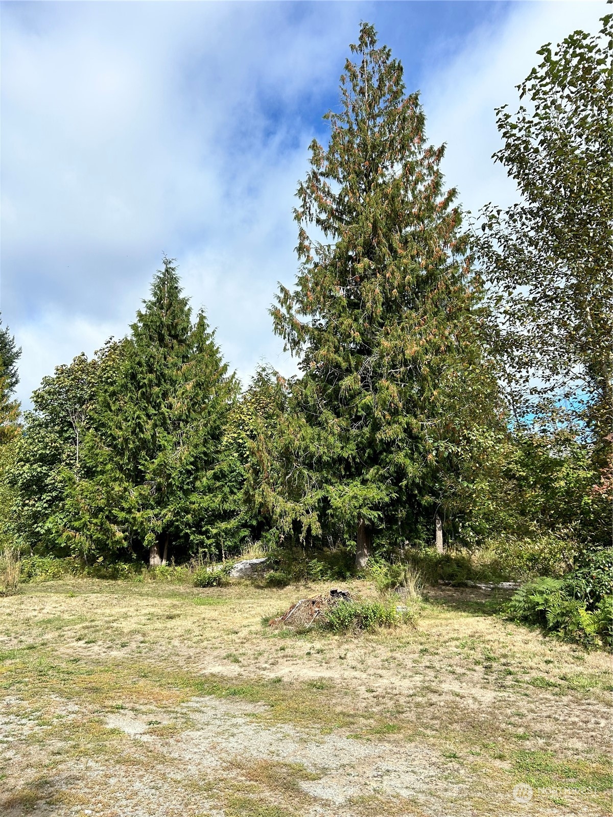 464 A Peters Road Property Photo 4