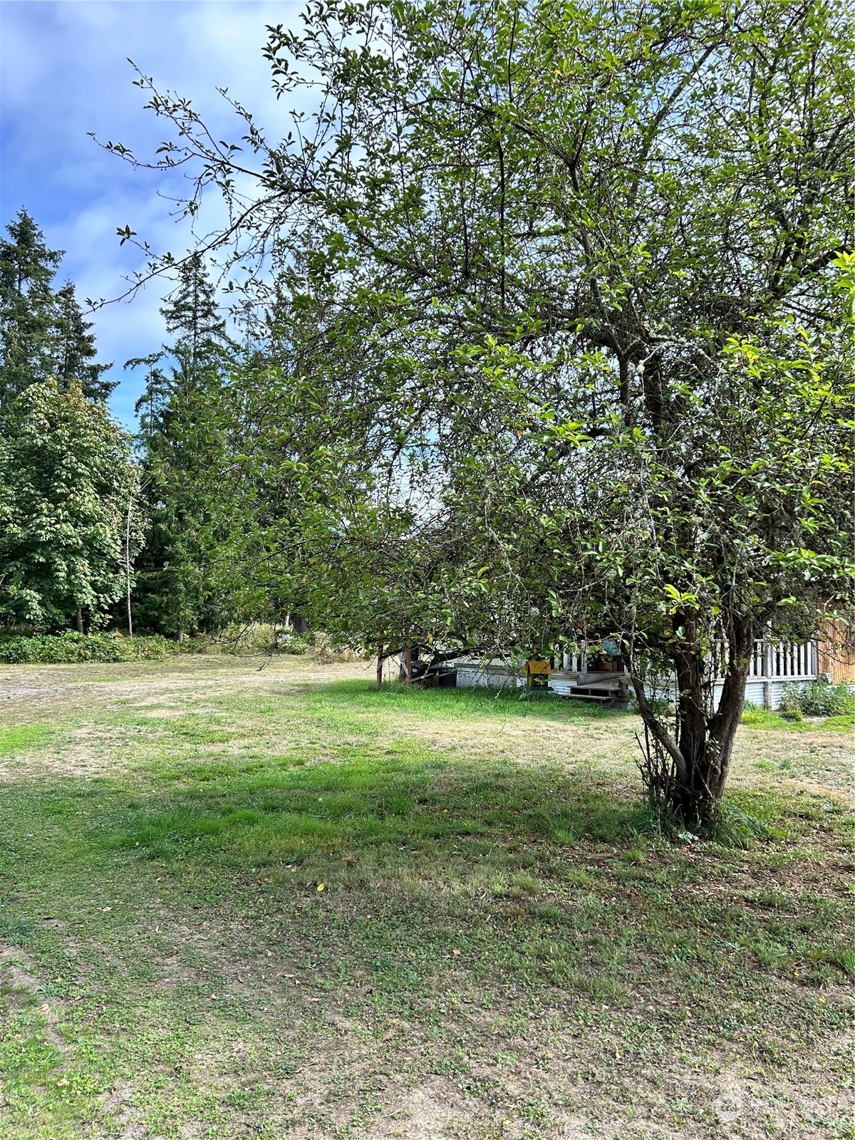 464 A Peters Road Property Photo 16