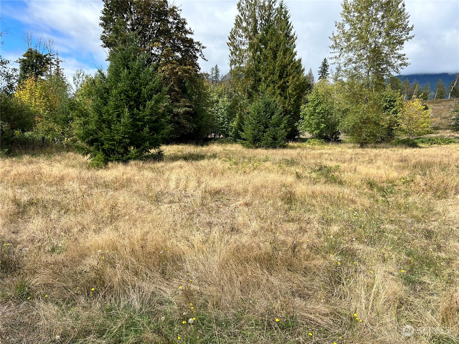 464 A Peters Road Property Photo 17