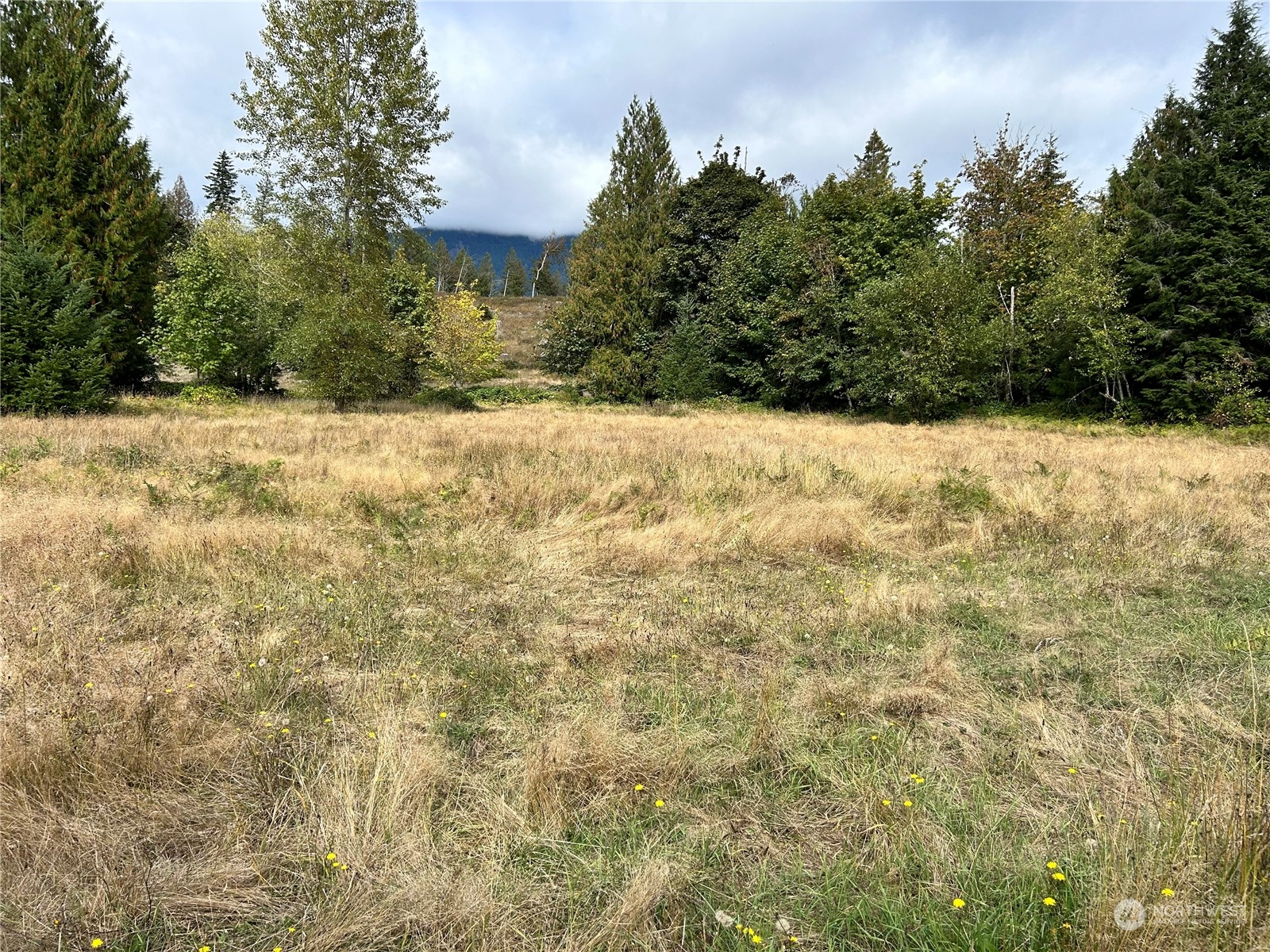464 A Peters Road Property Photo 18