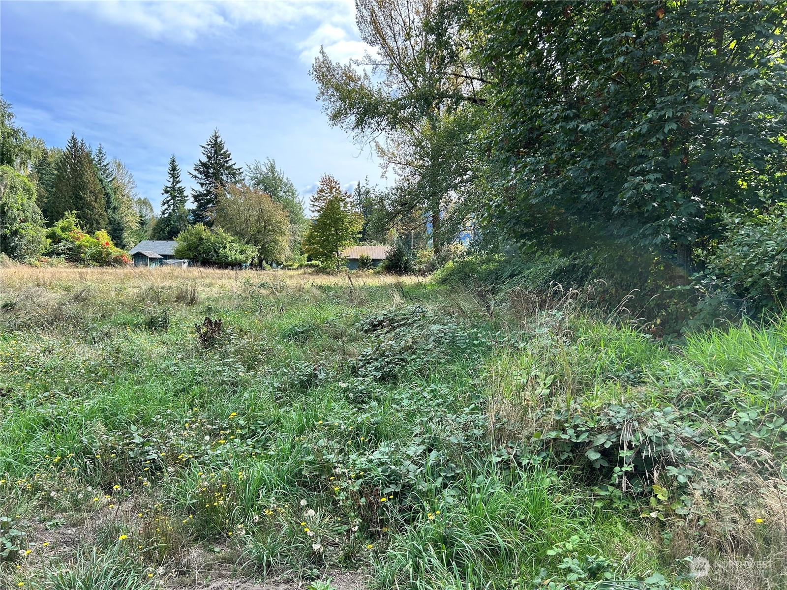 464 A Peters Road Property Photo 19