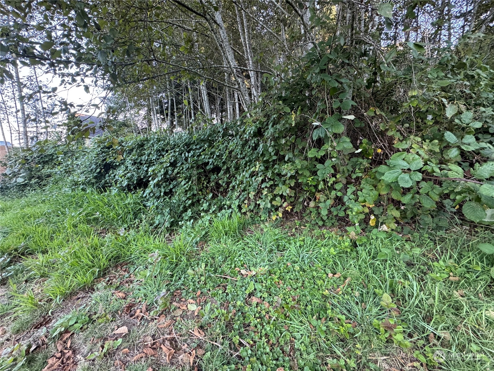 1020 Rayonier Avenue Property Photo 2