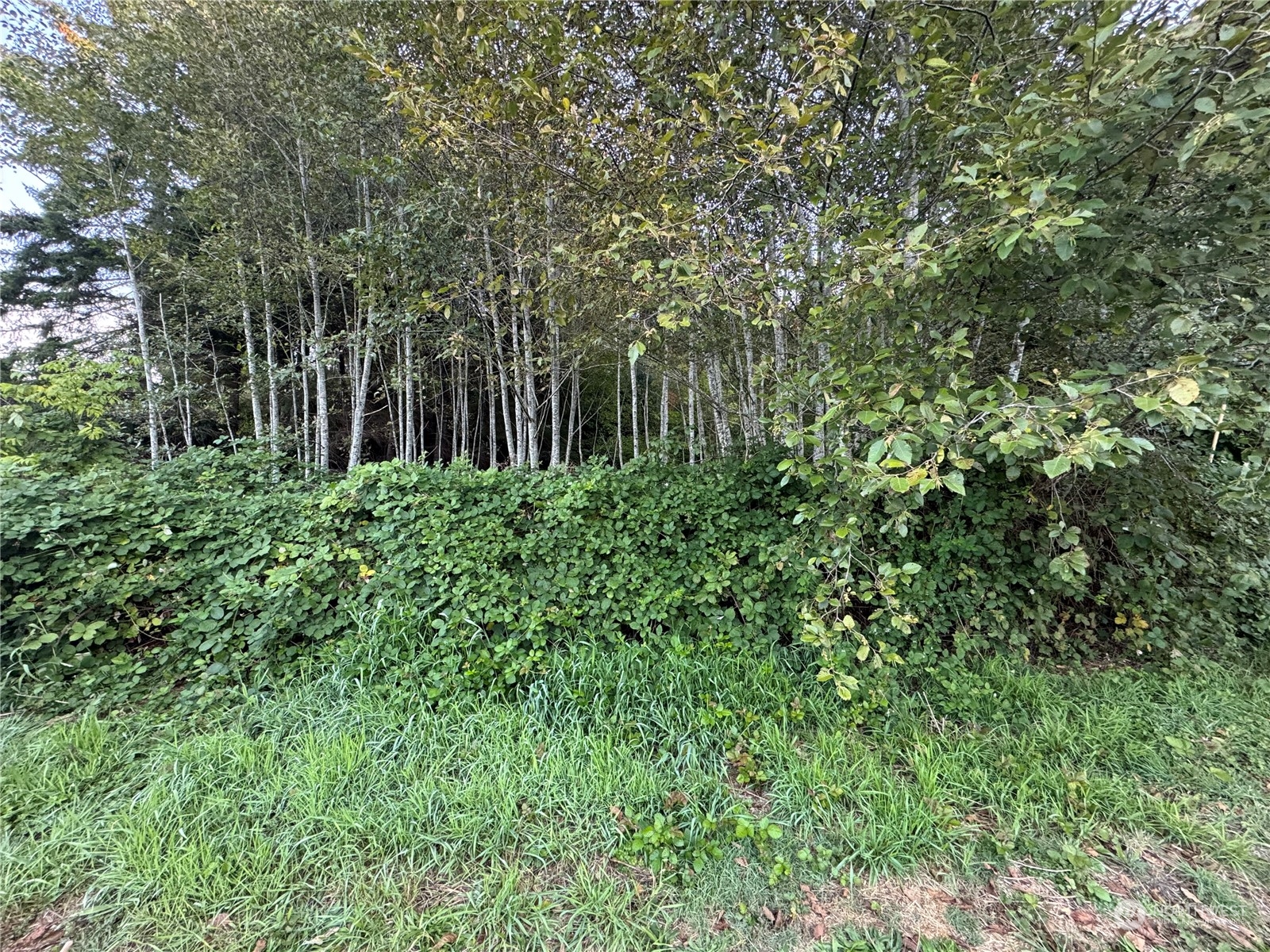 1020 Rayonier Avenue Property Photo 3