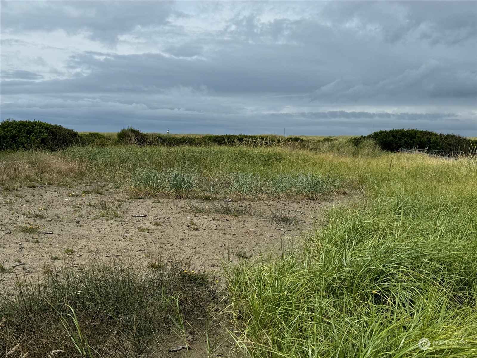 1161 Ocean Shores Boulevard Property Photo 7