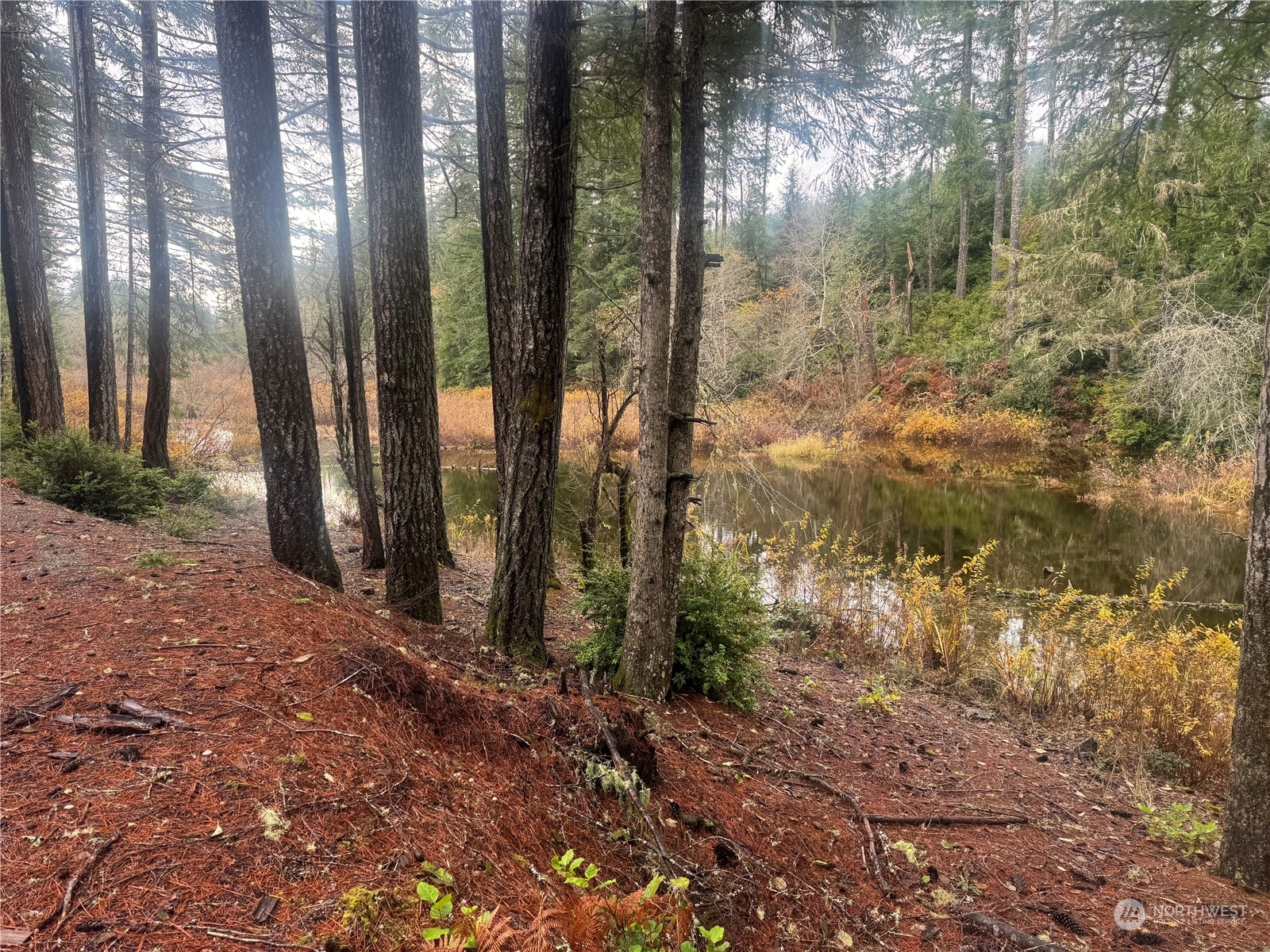 3285 Gold Creek Road Property Photo