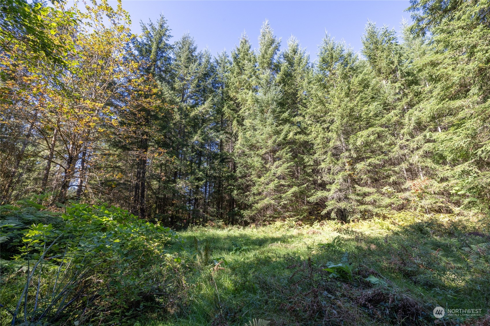 22506 State Route 706 Property Photo 5