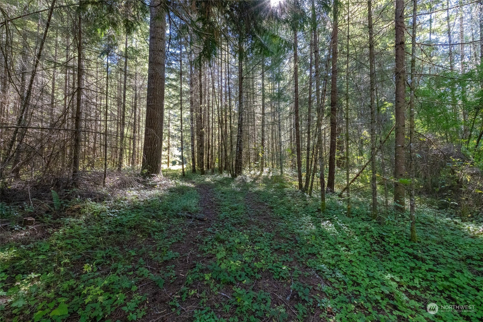 22506 State Route 706 Property Photo 7