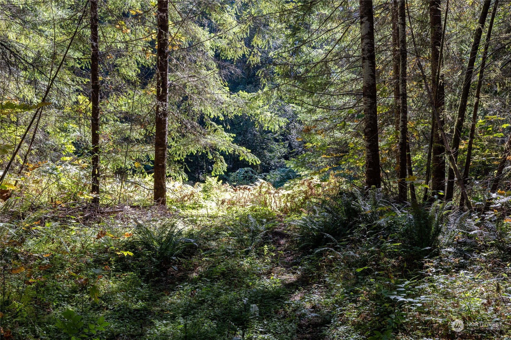 22506 State Route 706 Property Photo 10
