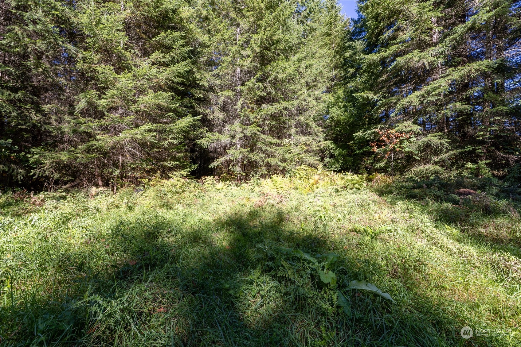 22506 State Route 706 Property Photo 11