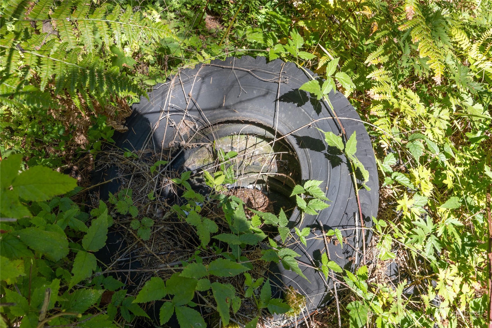 22506 State Route 706 Property Photo 12