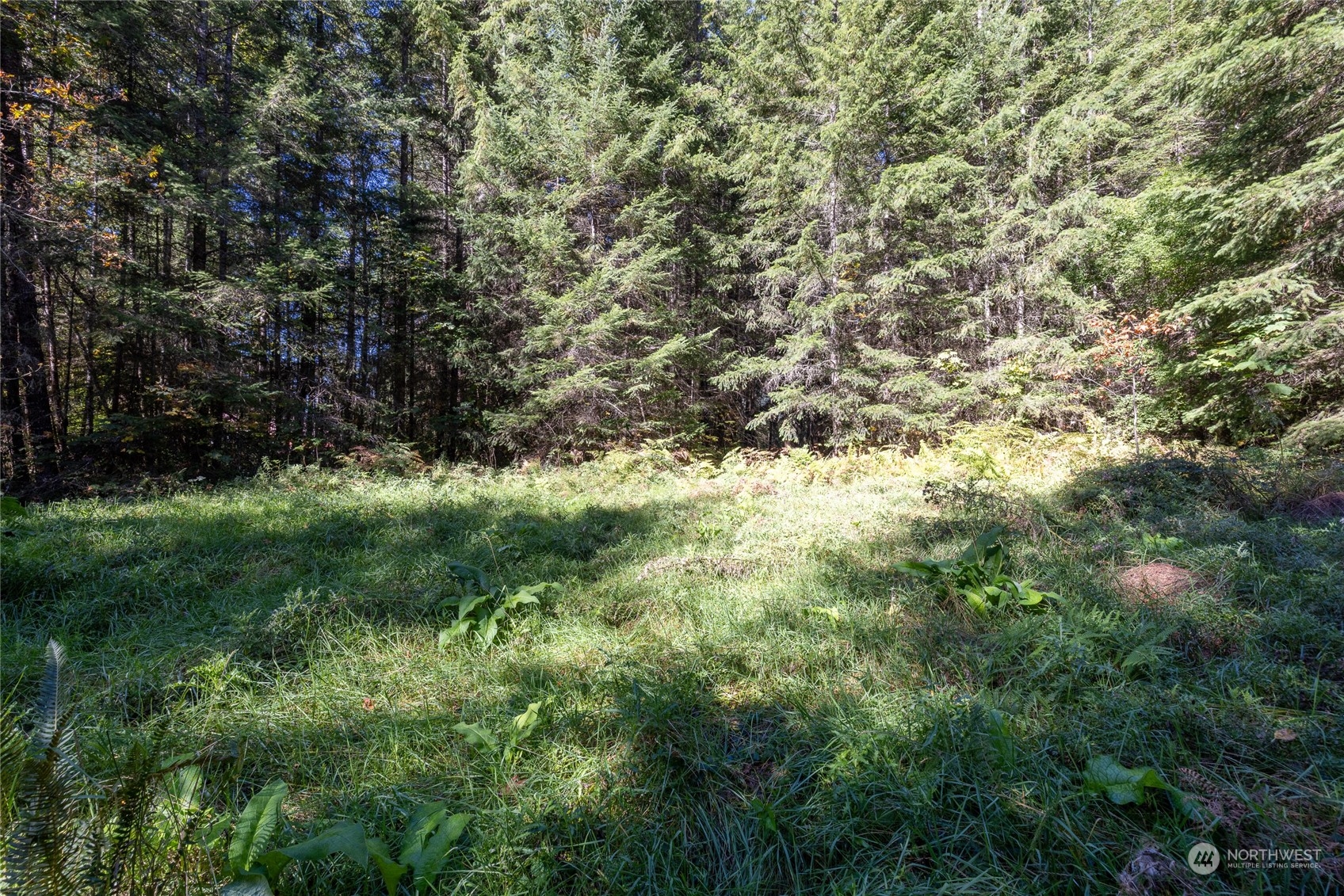 22506 State Route 706 Property Photo 13