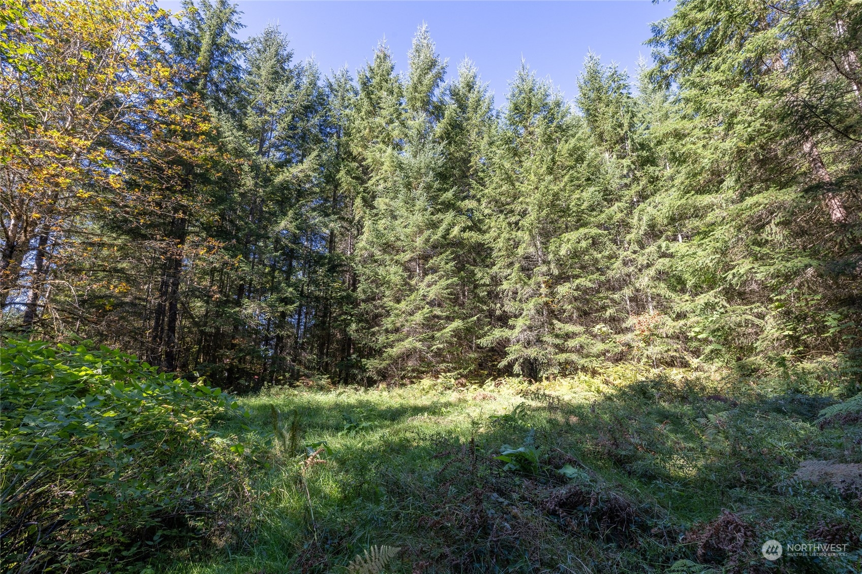 22506 State Route 706 Property Photo 14