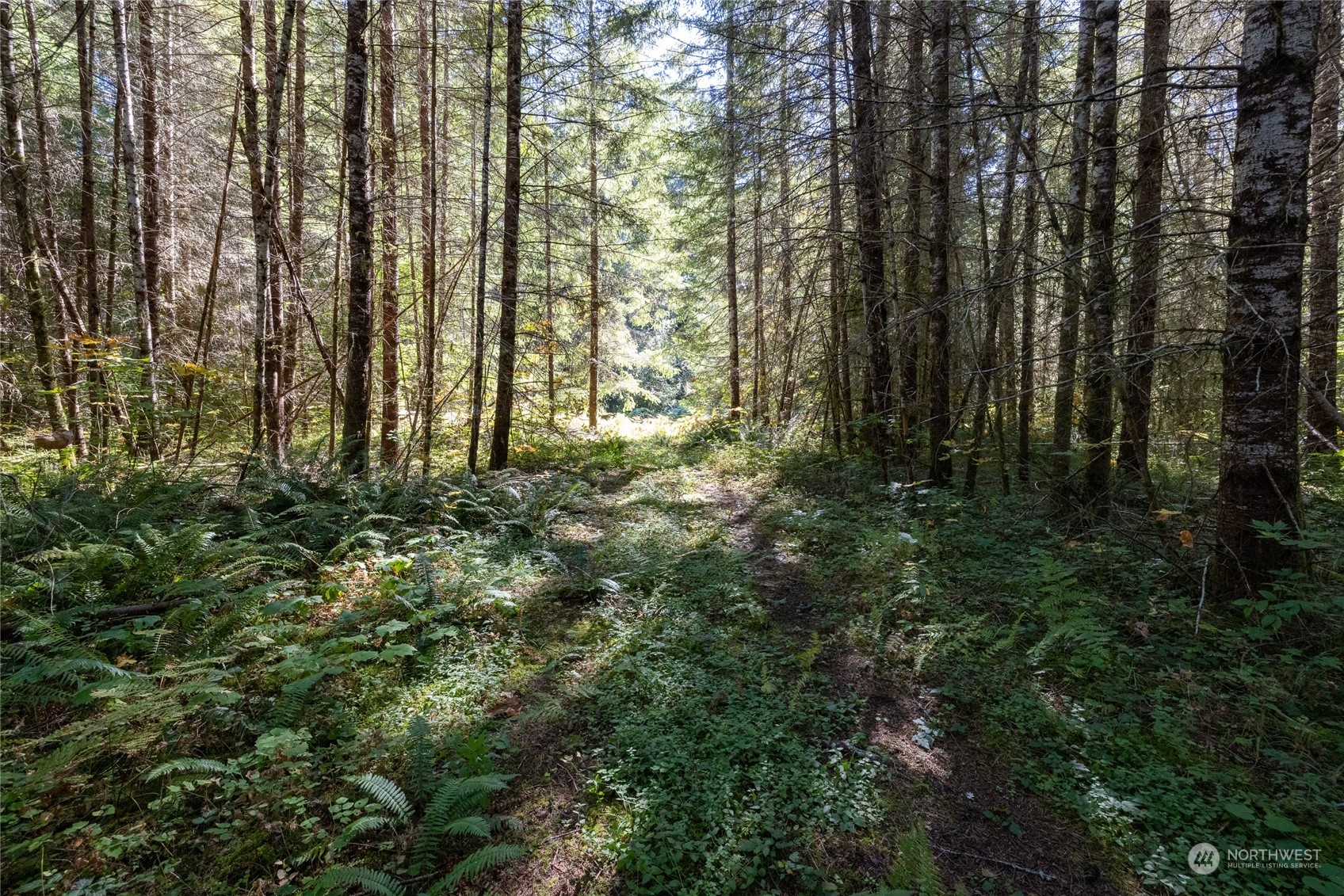 22506 State Route 706 Property Photo 15