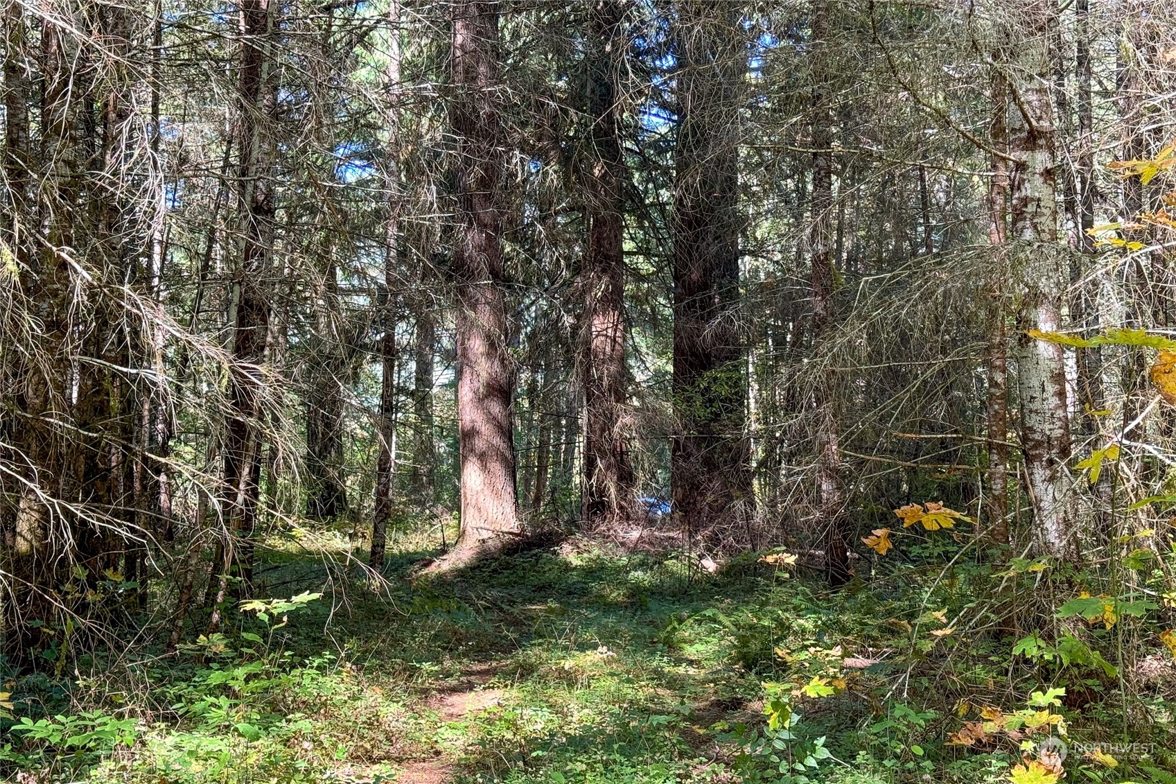22506 State Route 706 Property Photo 16