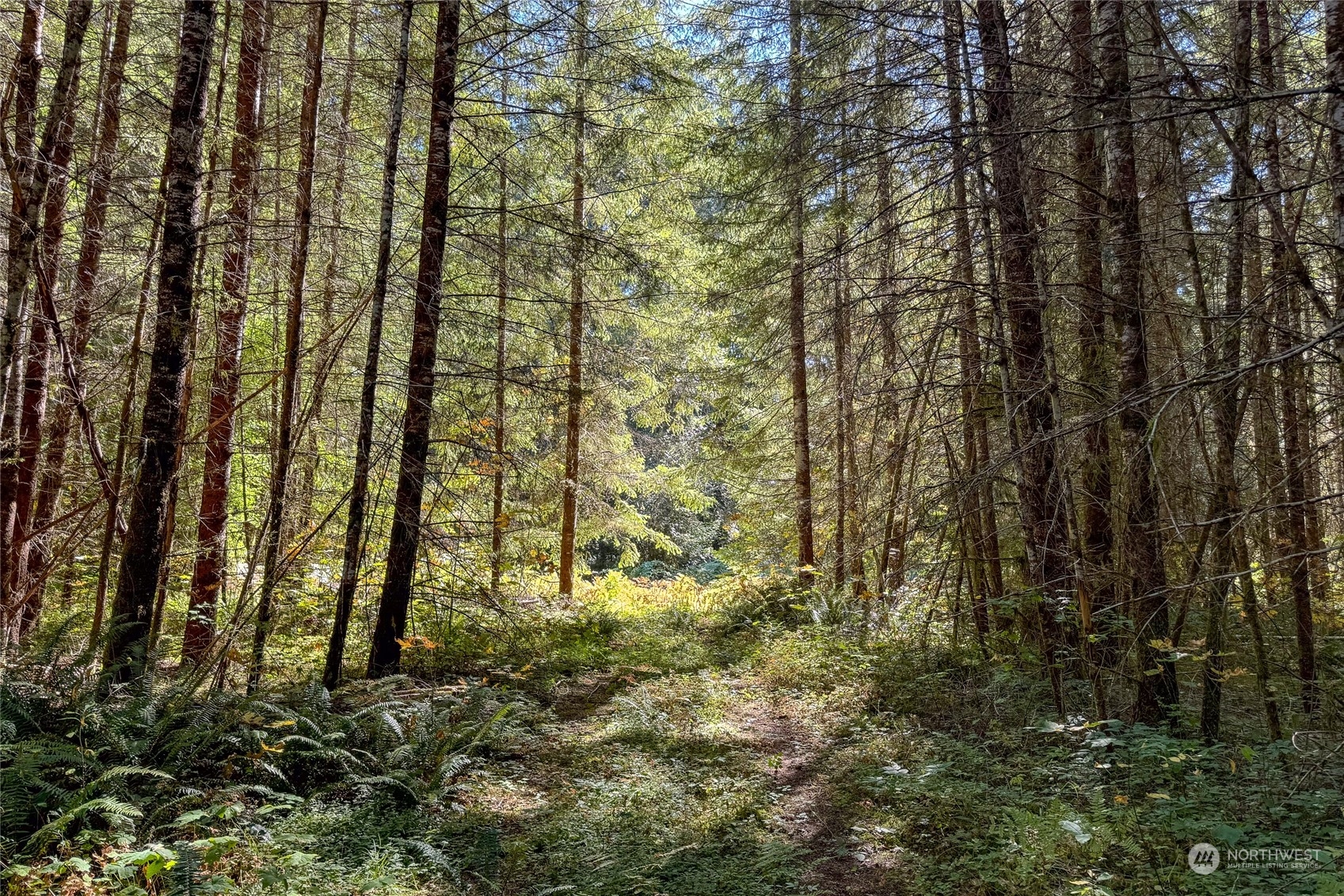 22506 State Route 706 Property Photo 17