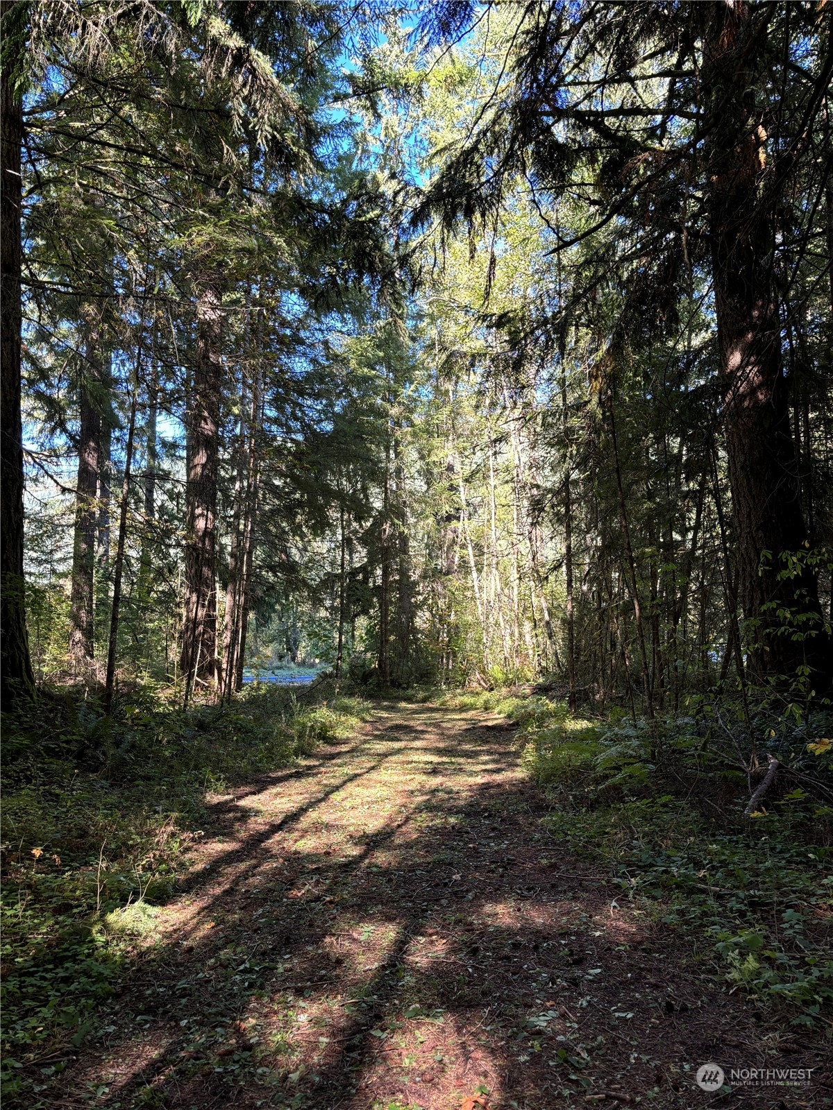 22506 State Route 706 Property Photo 32