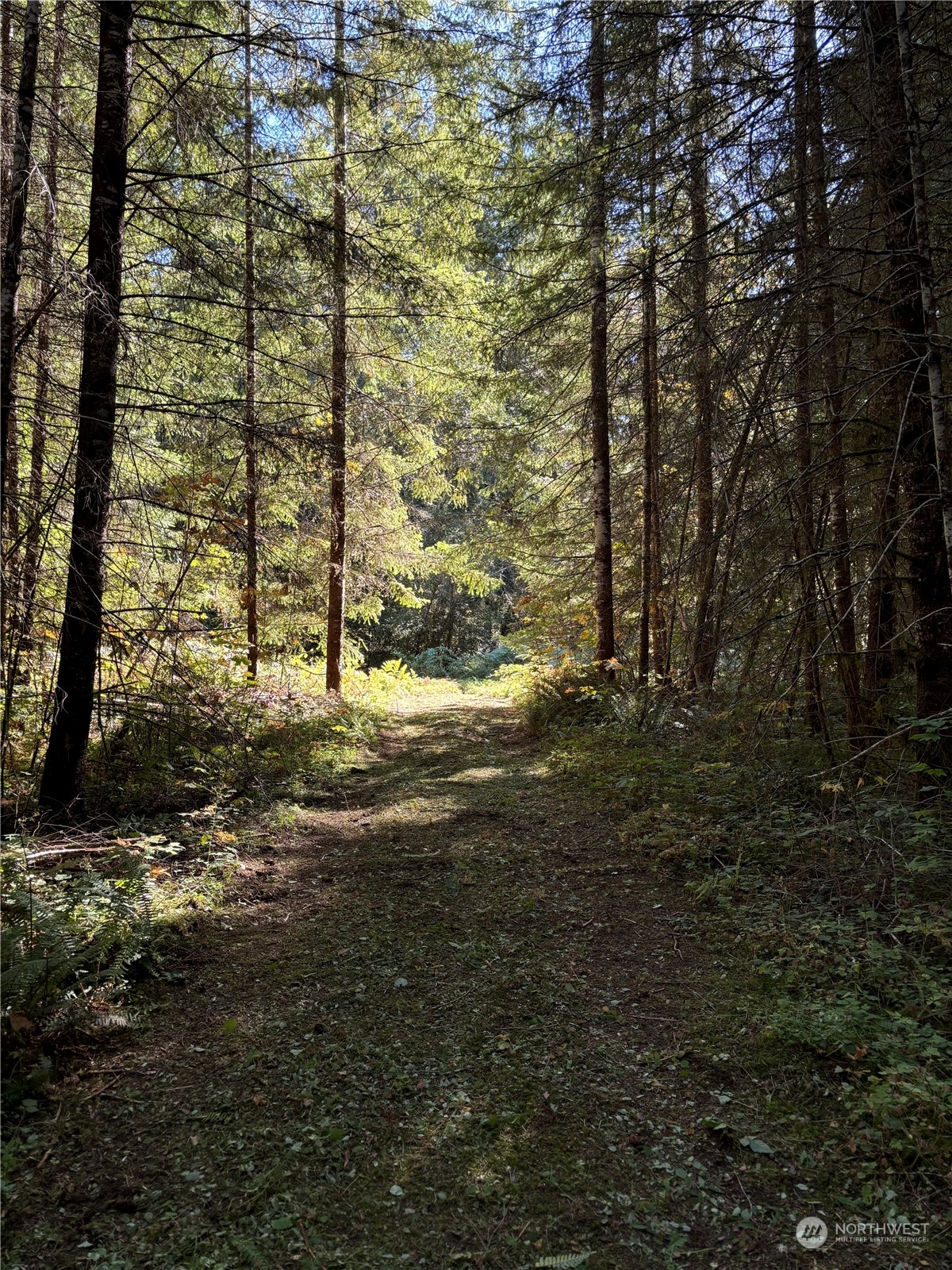 22506 State Route 706 Property Photo 33