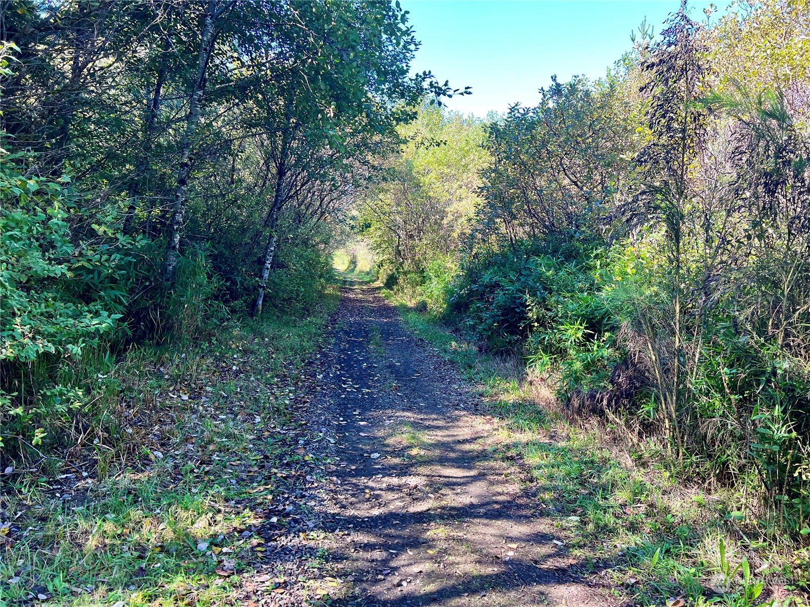 2081 State Route 105 Highway Property Photo 37