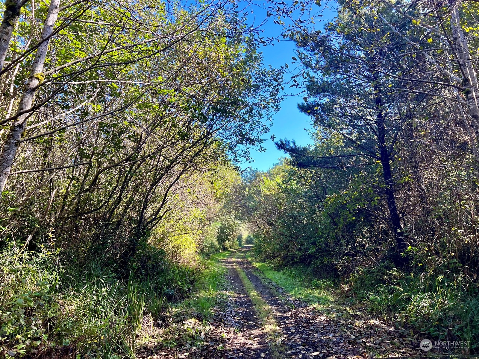 2081 State Route 105 Highway Property Photo 38