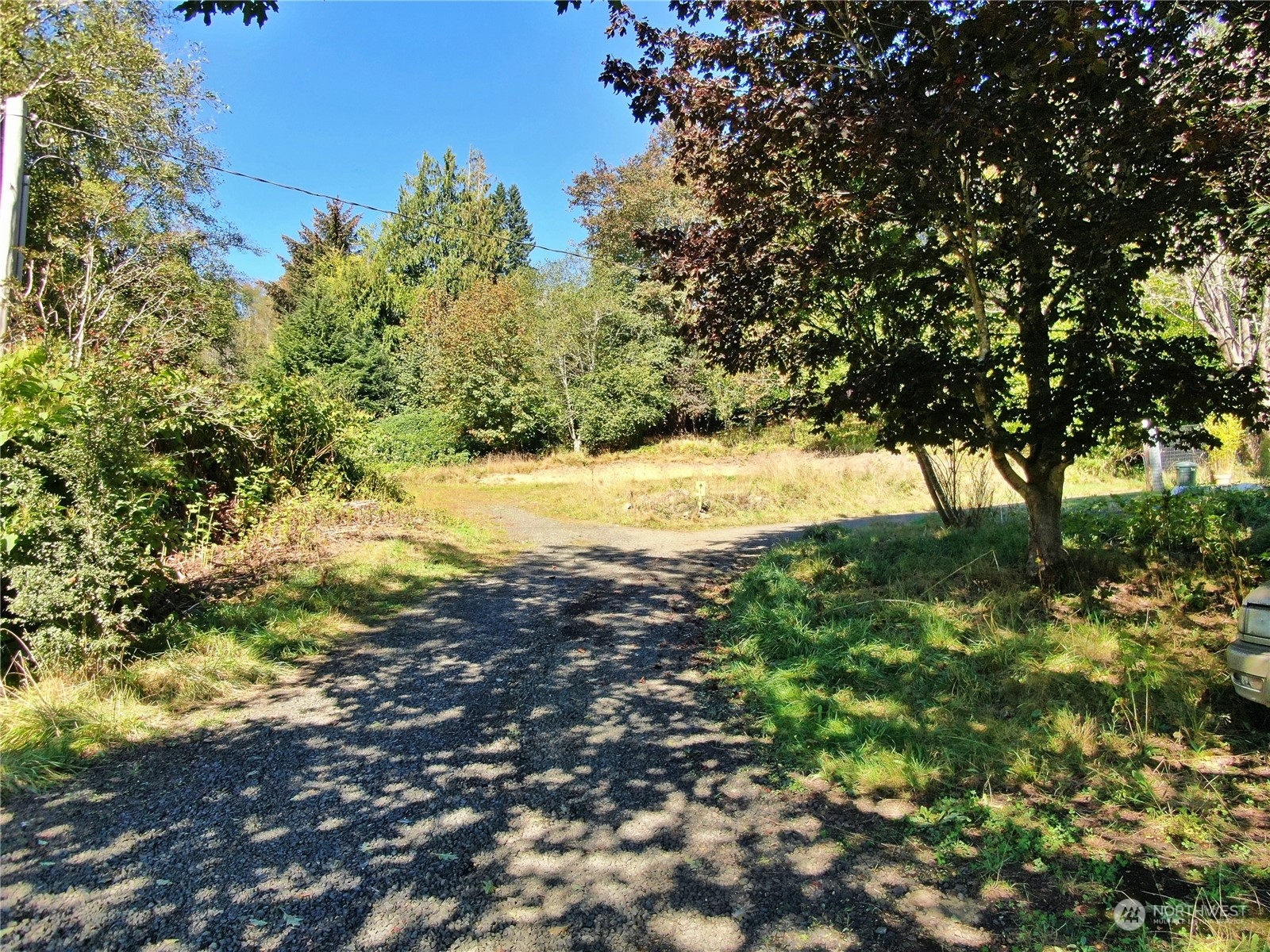 1129 Wildwood Avenue Property Photo 13