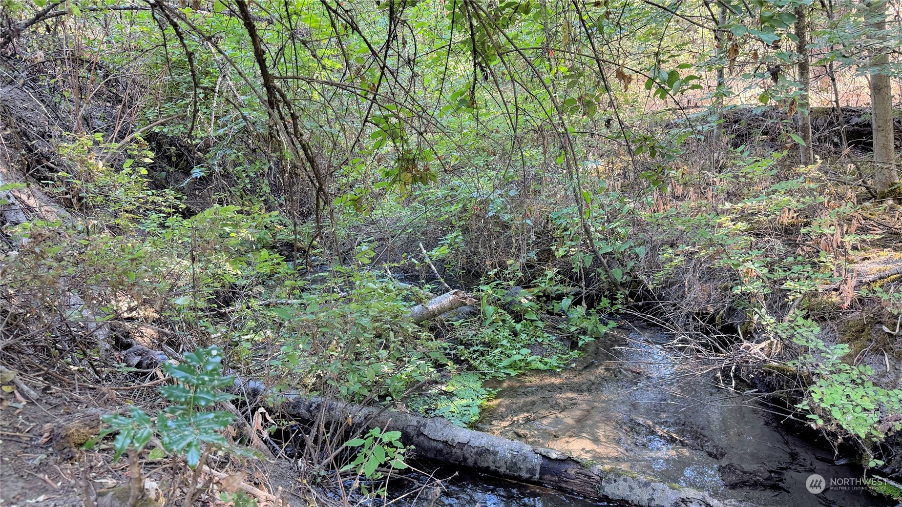 25546 Miles/creston Road Property Photo 18