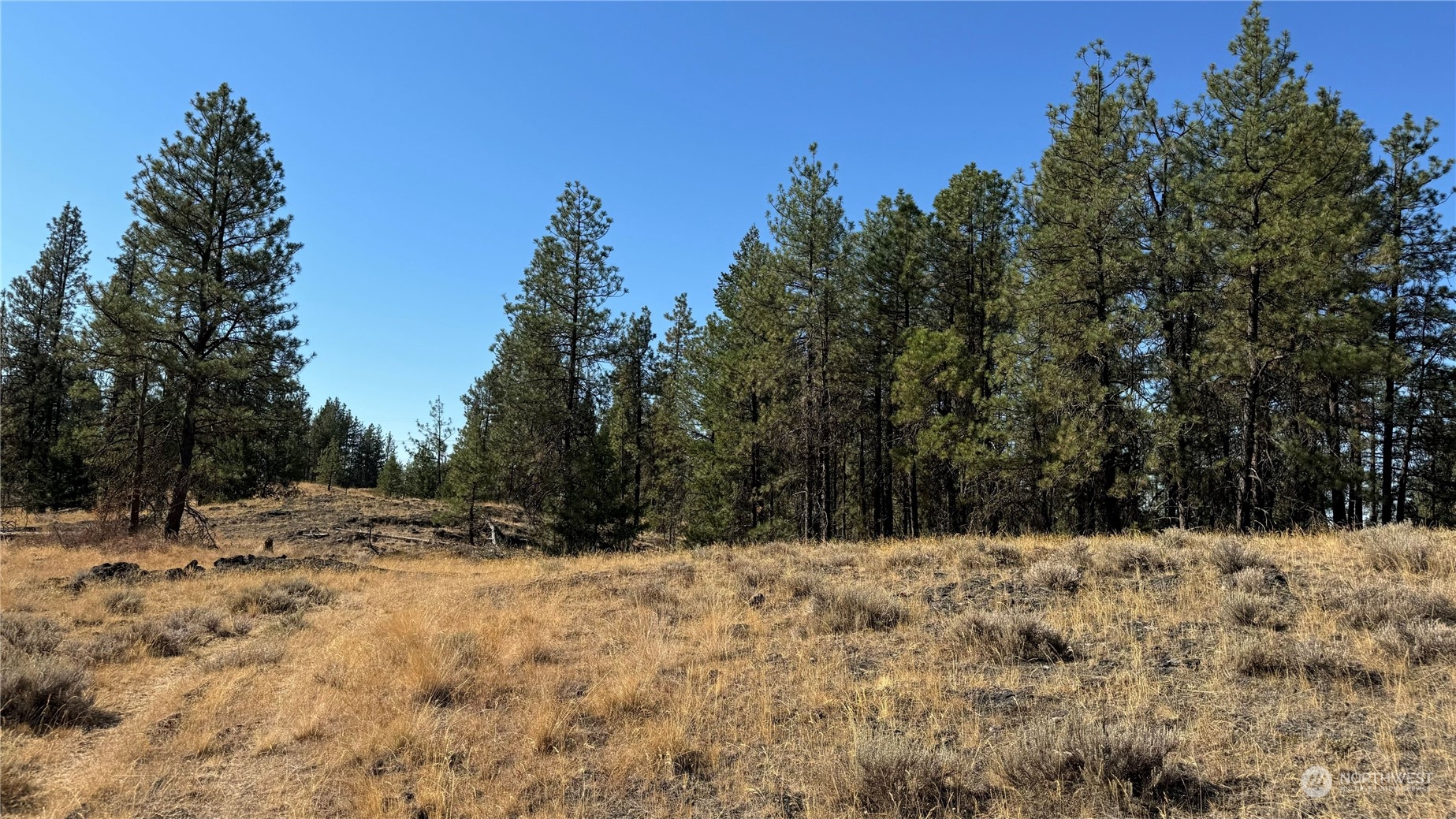 25546 Miles/creston Road Property Photo 35