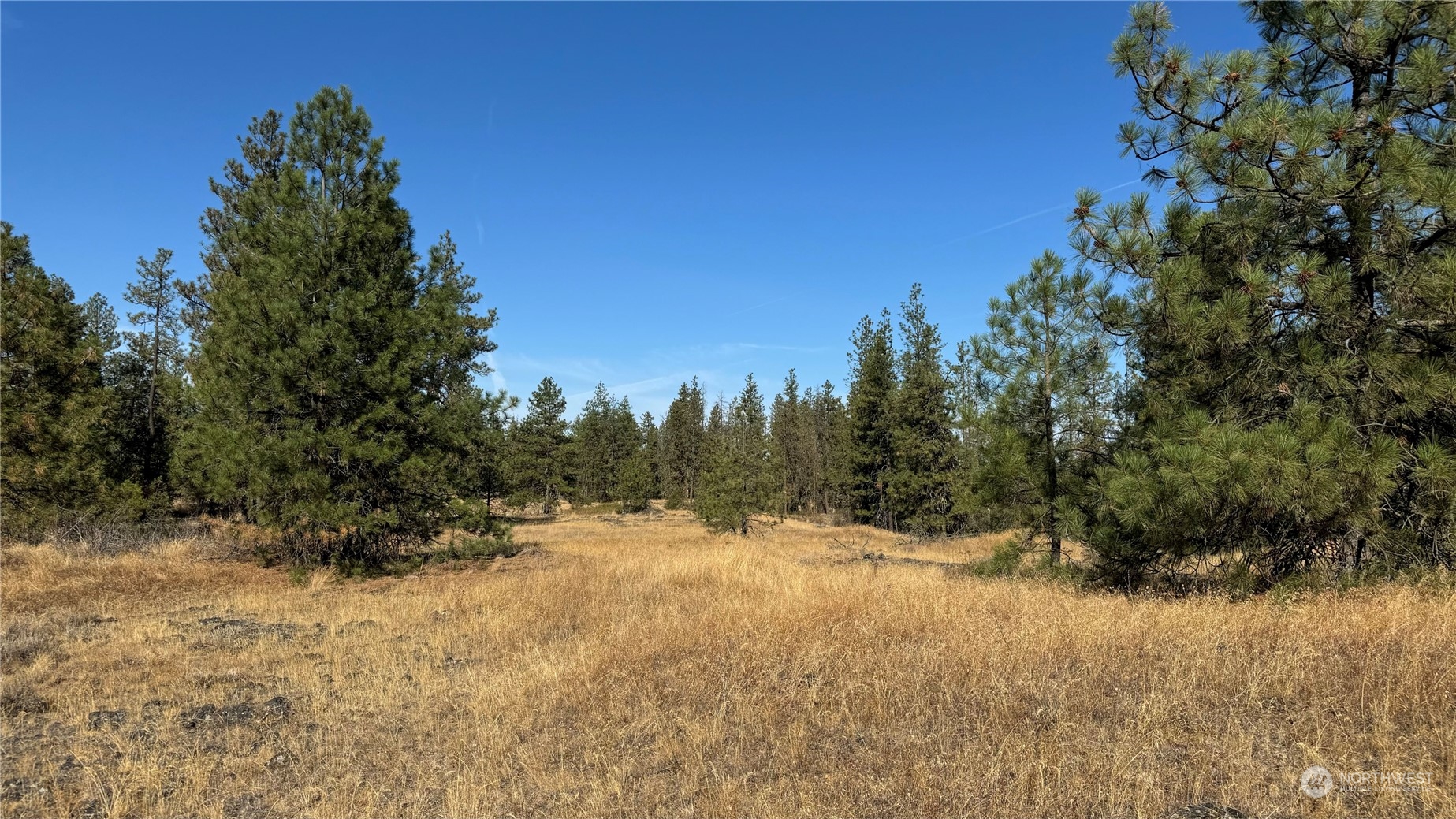 25546 Miles/creston Road Property Photo 36