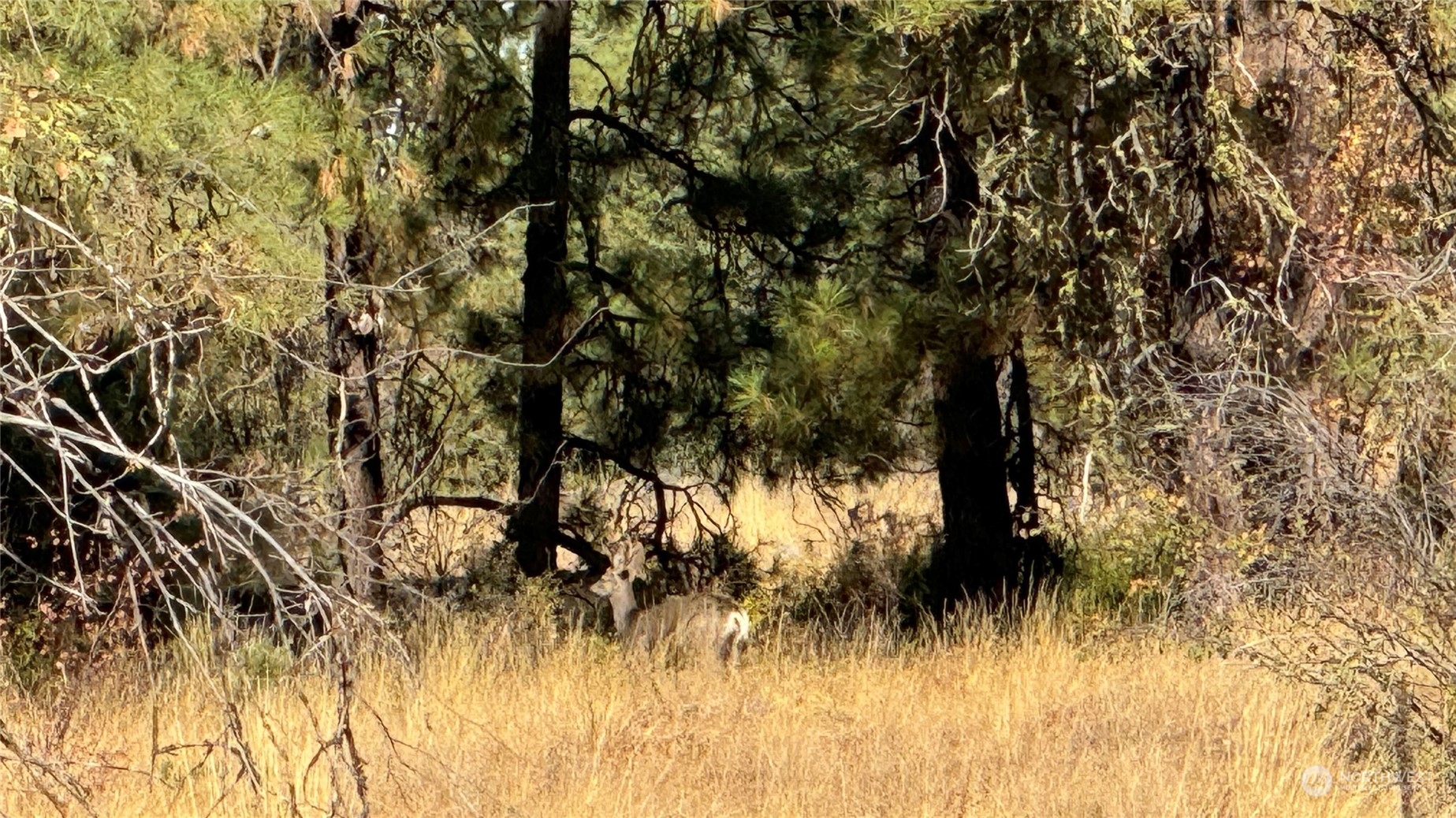 25546 Miles/creston Road Property Photo 37