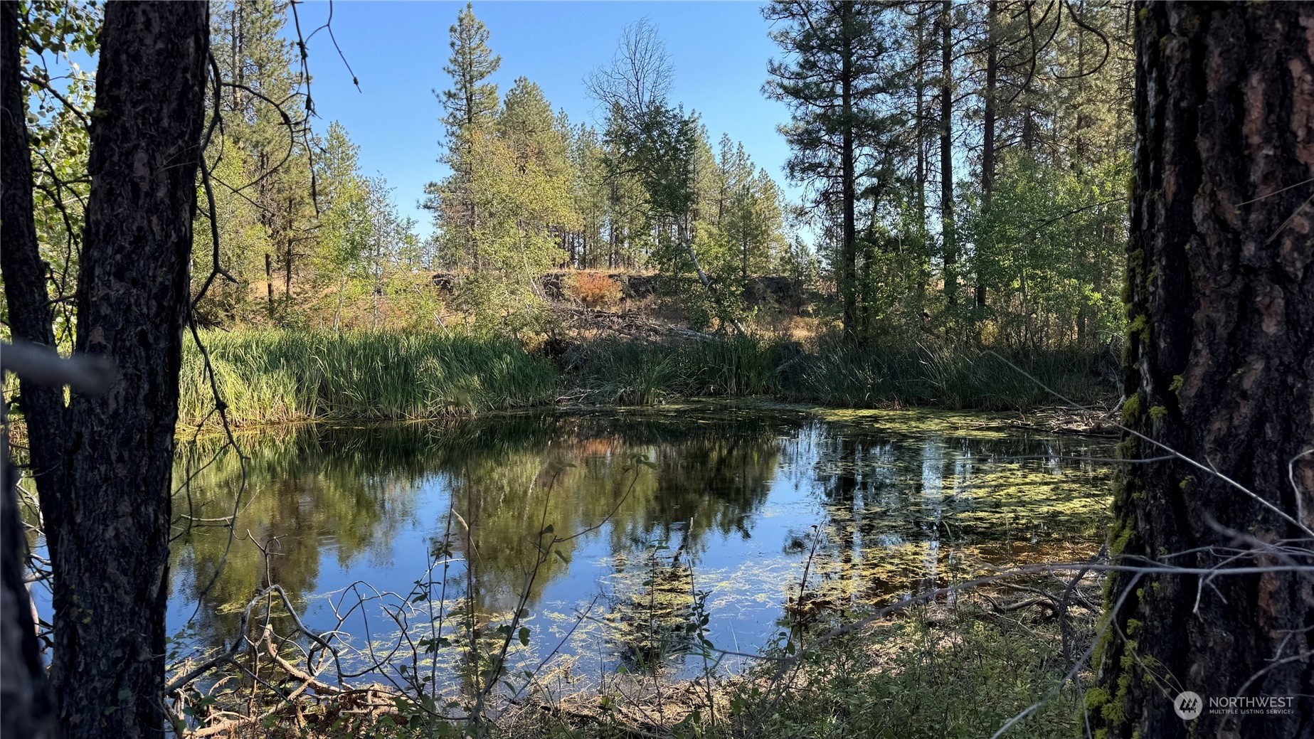 25546 Miles/creston Road Property Photo 38