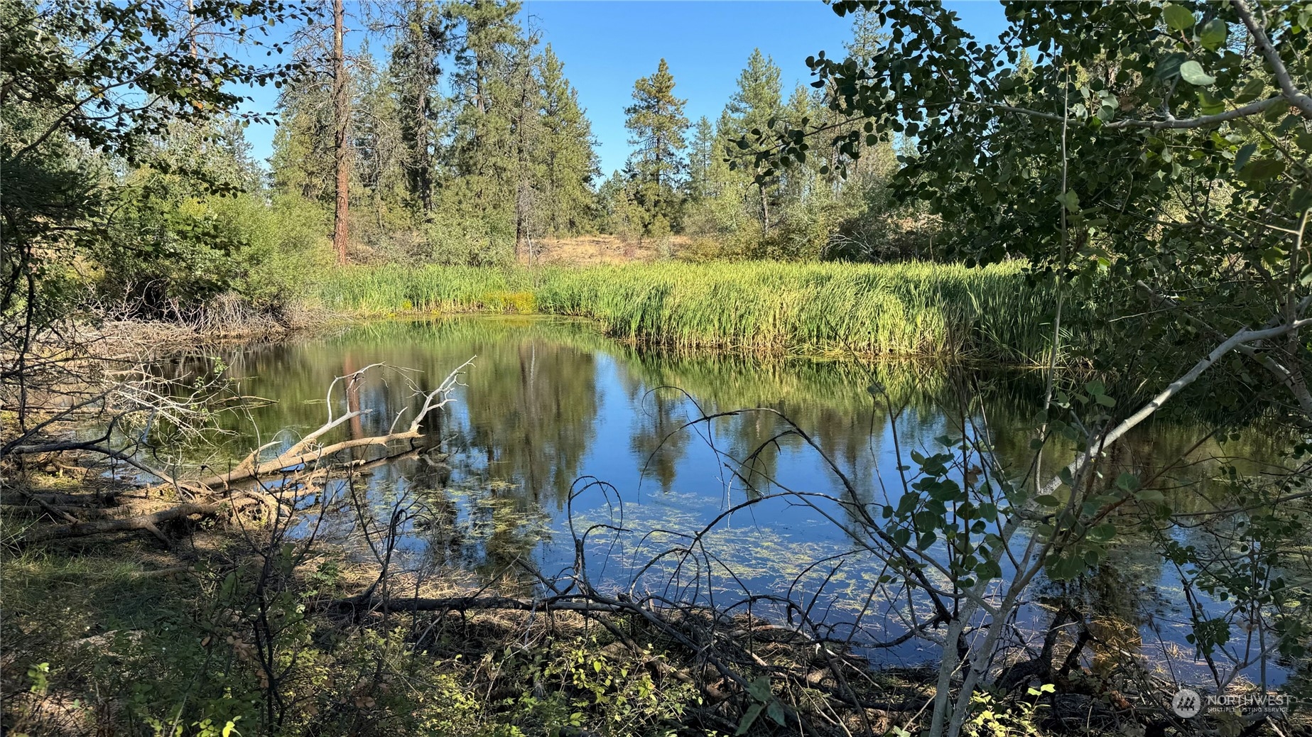 25546 Miles/creston Road Property Photo 39