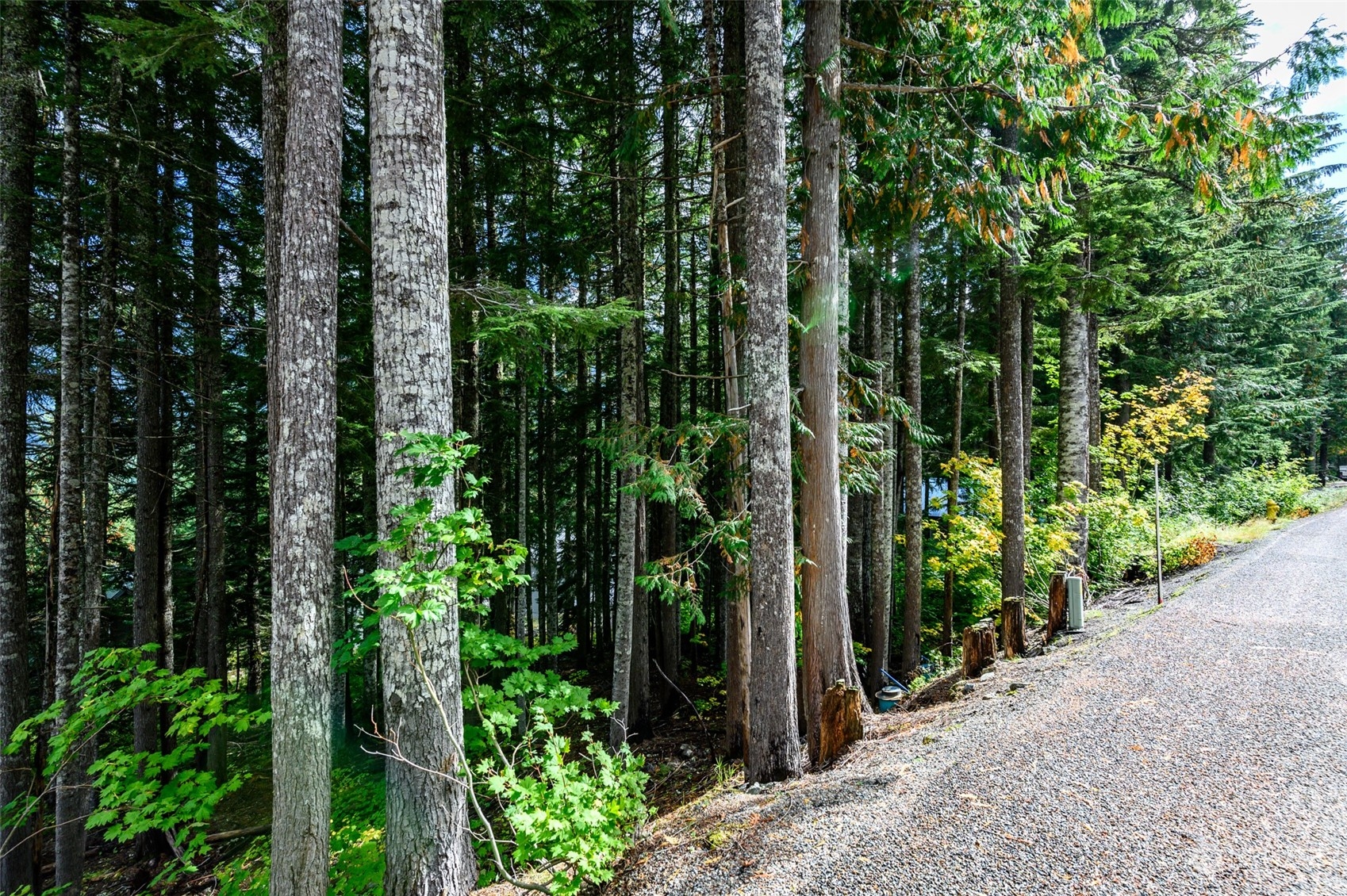 8 Xx Snoqualmie Drive Property Photo