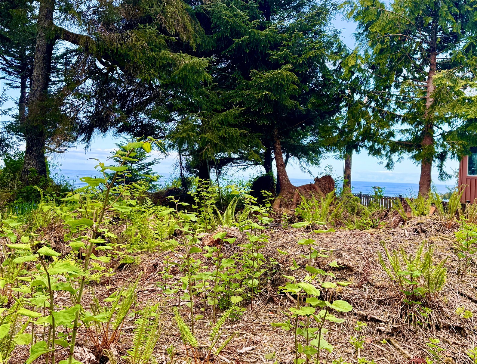 4653 State Route 109 Property Photo 3