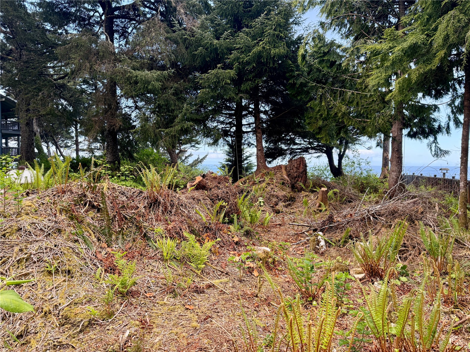 4653 State Route 109 Property Photo 5
