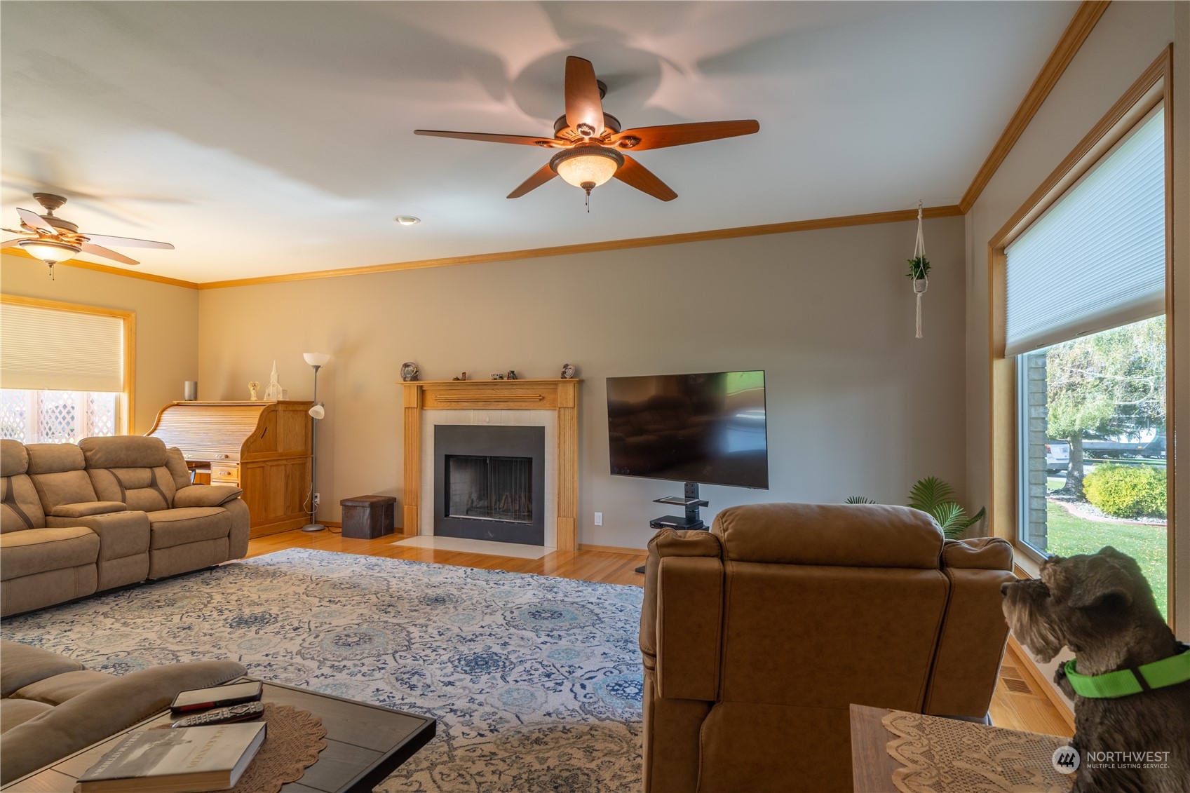 11743 Chris Drive Property Photo 5