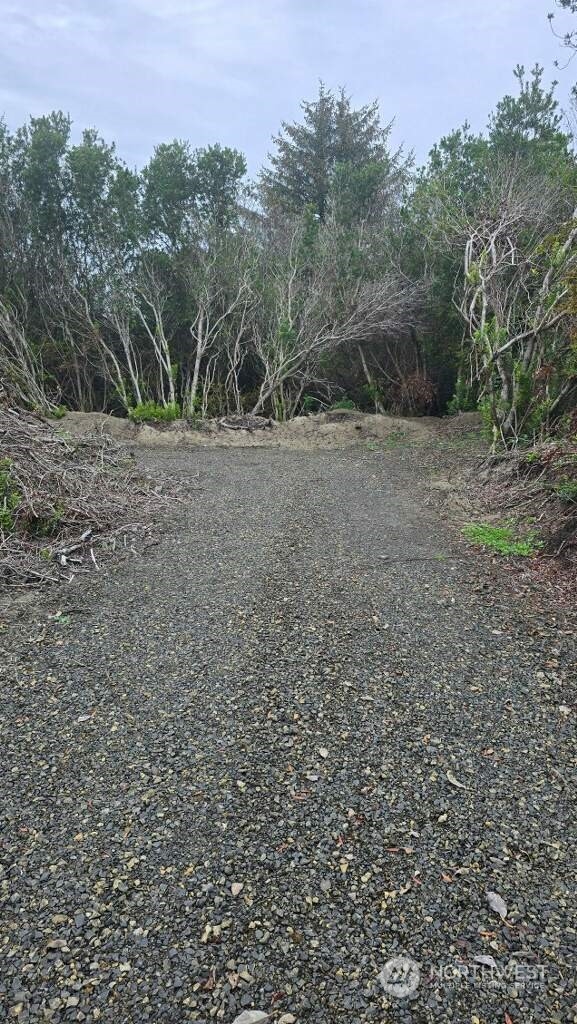 148 Marine View Drive Property Photo 8