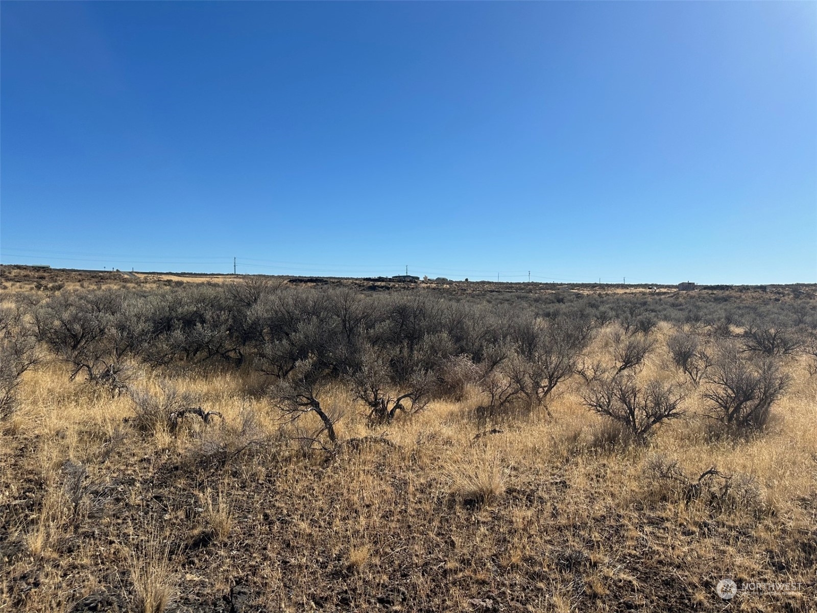 2294 Rimini Place Property Photo 3