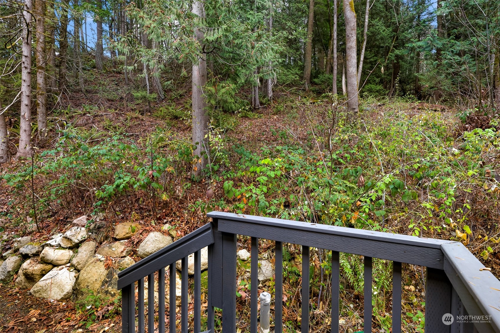 4220 Brays Way Property Photo 14