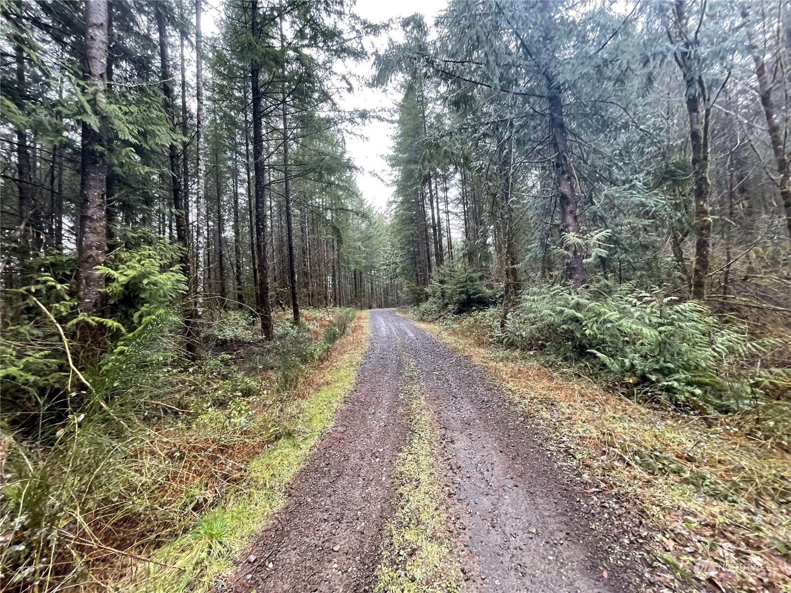 0 Lot A Ne Westerholm Road Property Photo