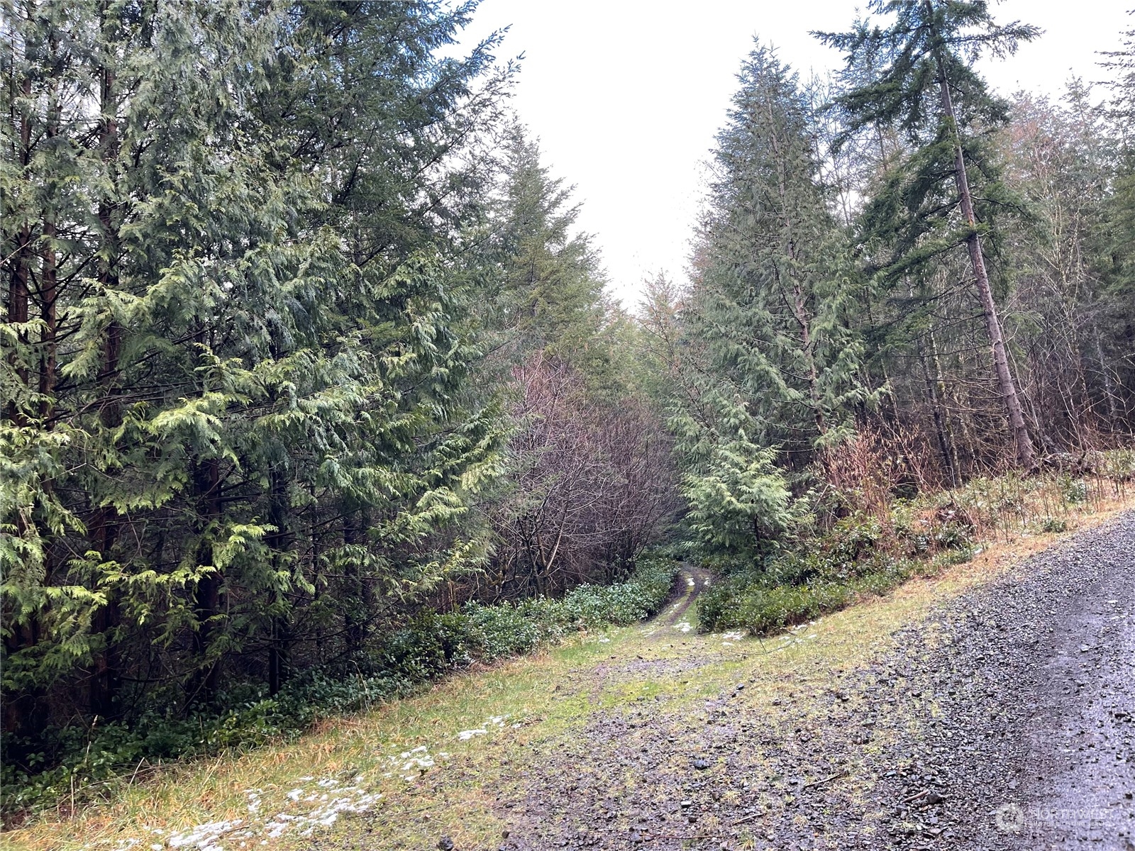 0 Lot A Ne Westerholm Road Property Photo 6