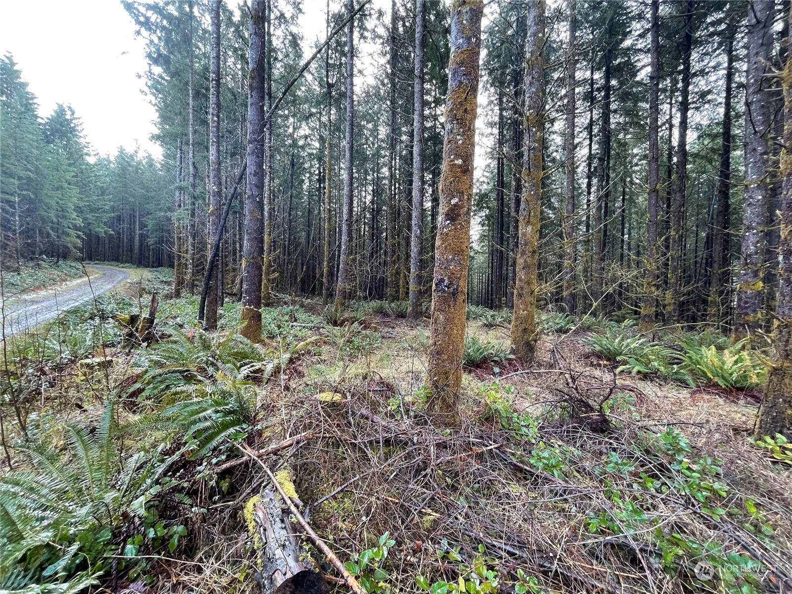 0 Lot A Ne Westerholm Road Property Photo 8